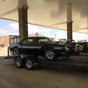 Meet your Posher, Dawson